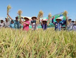 Petani di Lombok Tengah Berhasil Tingkatkan Produktivitas Lewat FFD-CSA