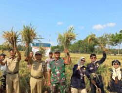 Ratusan Petani di Kebumen Digembleng Program CSA Kementan Lewat FFD