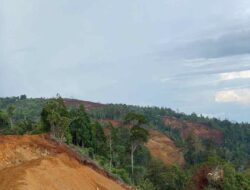 Telan Korban Jiwa, Aparat Didesak Tangkap Penambang Ilegal di PT Mining Maju