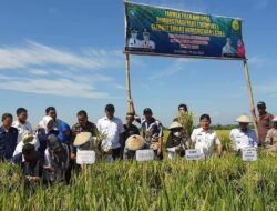 Program CSA Kementan Tingkatkan Produktivitas Petani di Pangkep