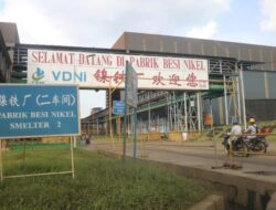 PT OSS dan VDNI Penyumbang Ekspor Terbasar di Sulawesi Tenggara