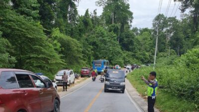 Tiga Mobil Terlibat Kecelakaan Beruntun di Hutan Warangga Muna