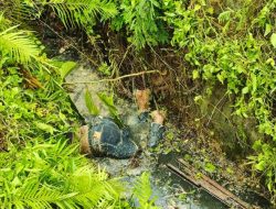 Geger Penemuan Mayat Pria Membusuk di Selokan Jalan By Pass Kendari