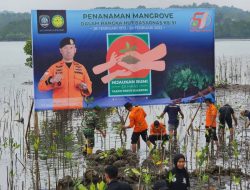 Basarnas Kendari Tanam Ratusan Pohon Mangrove di Pesisir Bungkutoko