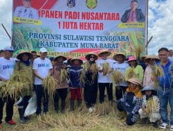 Bahri Bersama Petani Panen Padi Nusantara 1 Juta Hektare di Mubar