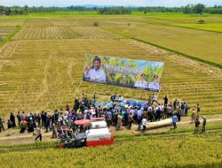 DPM-PTSP Sultra Dorong Realisasi Peningkatan Investasi Sektor Pertanian