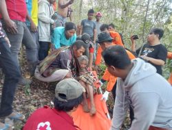 3 Hari Hilang di Hutan, Nenek 74 Tahun di Buton Selatan Ditemukan Selamat