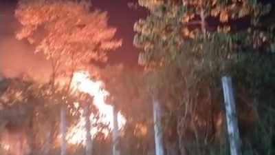 Lahan Gambut di Kawasan Kampus UHO Kendari Terbakar