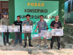 Penyelundupan 24 Ekor Burung Kakatua Jambul Kuning Digagalkan di Baubau