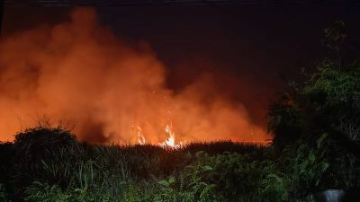 177 Kasus Kebakaran Terjadi di Kendari Sepanjang 2023, Didominasi Karhutla