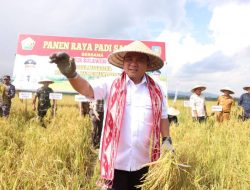 Pj Gubernur Penen Raya Padi Bersama Petani di Empat Desa di Konsel