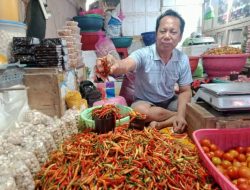 Pedisnya Harga Cabai di Awal Tahun di Kendari, Tembus Rp 110 Ribu Per Kg