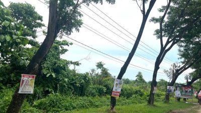 Caleg Bandel Pasang Baliho di Pohon, Bawaslu Sultra: Pelanggaran