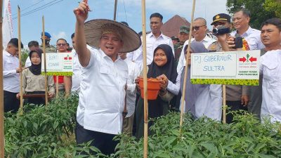 Pj Gubernur Sultra Panen Raya Jagung Cabai Tomat Bersama Siswa di Konawe
