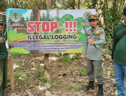 Marak Ilegal Logging, BKSDA Pasang CCTV di Cagar Alam Napabalano Muna