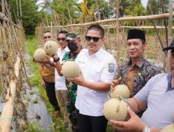 Upaya Bupati Abdul Azis Mendongkrak Sektor Pertanian Kolaka Timur