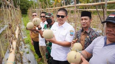 Upaya Bupati Abdul Azis Mendongkrak Sektor Pertanian Kolaka Timur