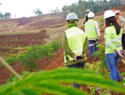 Soal Putusan MK, PT GKP: Penambangan di Pulau Kecil Tak Dilarang