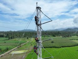 Antisipasi Kendala Pasokan, PLN Bangun Tower Emergency di Jalur Wolo-Kolaka