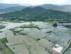 Petani Terdampak Banjir di Sultra Bakal Dapat Bantuan Pemerintah