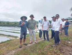 Bupati Koltim Tegaskan Distribusi Pupuk Subsidi Harus Tepat Sasaran