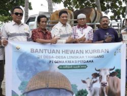 Idul Adha 2024, PT GKP Serahkan 15 Ekor Hewan Kurban ke Warga Konkep