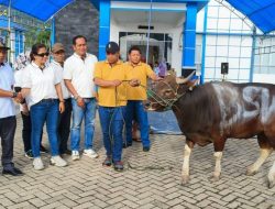 Syahbandar Molawe Serahkan Sapi Kurban di Empat Desa di Konawe Utara