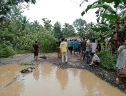 Warga Demo Desak Pemerintah Perbaiki Poros Andoolo-Tinanggea