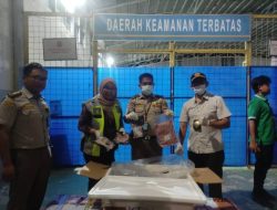 Penyelundupan 98 Kg Daging Babi Ilegal ke Sultra Digagalkan Balai Karantina