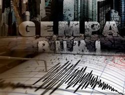 Tiga Gempa Guncang Sulawesi Tenggara dalam Sehari