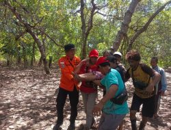 Hilang di Hutan Taipa Konawe Utara, Nenek 66 Tahun Ditemukan Selamat