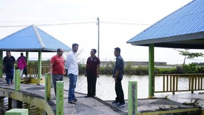 Pj Bupati Kolut Bakal Tebar Jutaan Benih Ikan di Kolam By Pass Lasusua