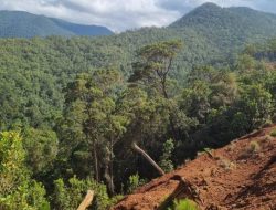 Lahan Dirampas-Dijual Sepihak, Puluhan Warga Bombana Melawan