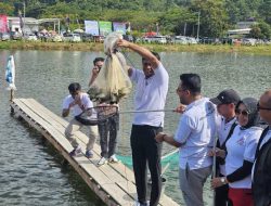 Pemda Kolut Panen Ratusan Ribu Ekor Ikan Dukung Makan Bergizi Gratis