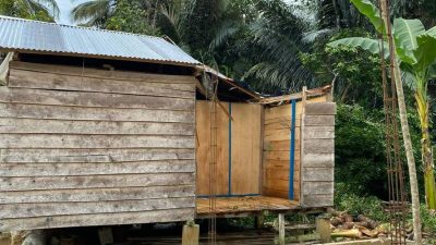 Dua Pohon Tumbang Beruntun, Rumah Warga di Muna Barat Jadi Korban