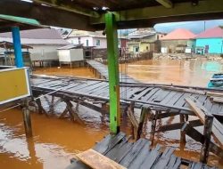Air Laut Menjadi Air Mata: Baliara Bombana Tercekik Asap Nikel