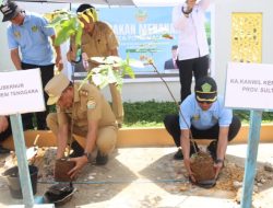 Menteri Agama RI Launching Gerakan Tanam 1 Juta Pohon Matoa, Sultra Sumbang 3 Ribu Bibit
