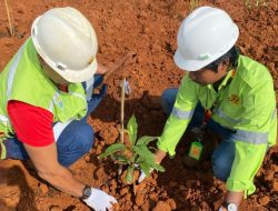 Hari Bumi 2025, PT GKP Tanam Sengon hingga Jabon di Konawe Kepulauan